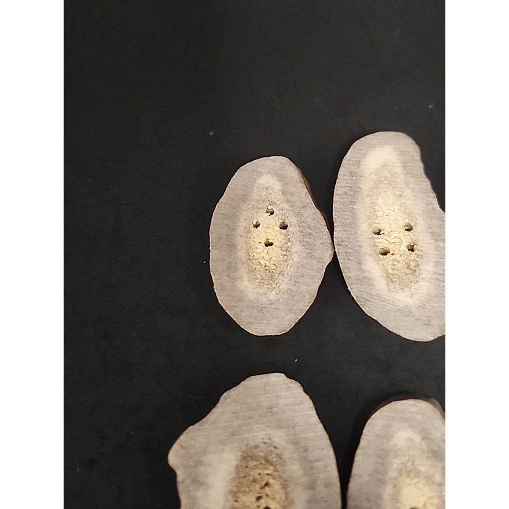 6 Piece Set Of Raw Antler Buttons 1.25